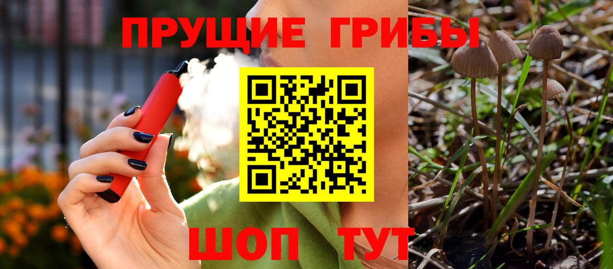 Галлюциногенные грибы Psilocybe  Галлюциногенные грибы мицелий  Вход с VPN  Ефремов 